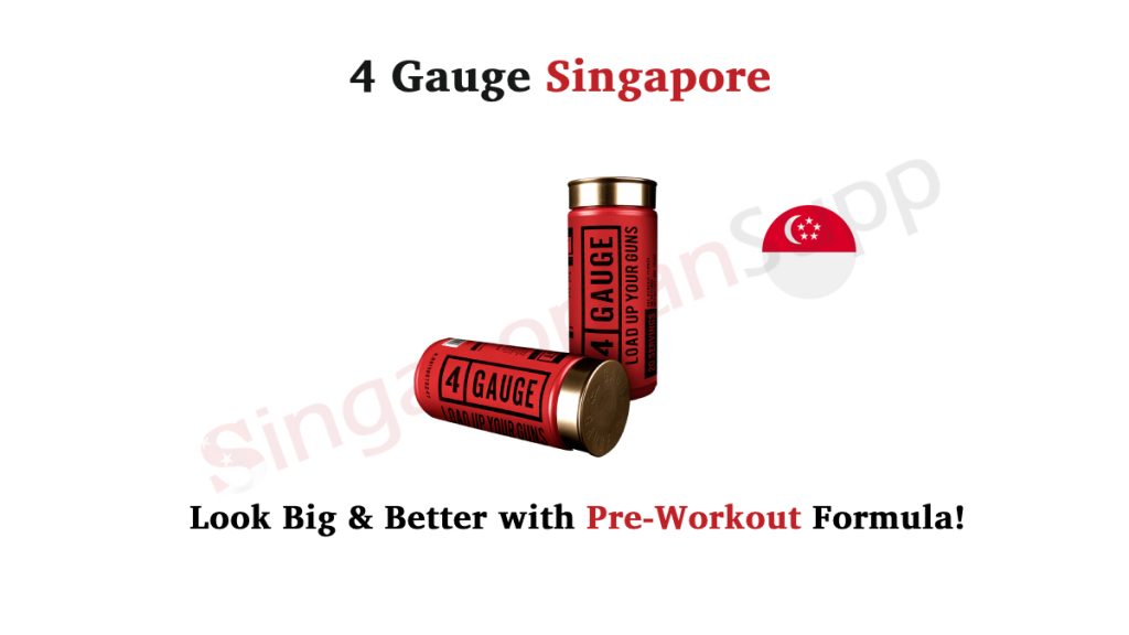 4 Gauge Singapore Review
