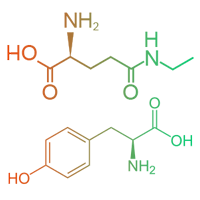 L Theanine & L Tyrosine