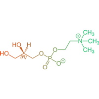 alpha-gpc-featured