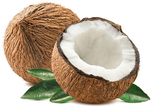 coconut