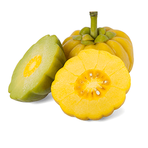 Garcinia Cambogia Fruit Featured