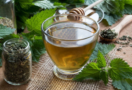 nettle-leaf-extract-featured