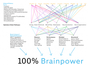How it works- MindLab Pro