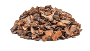 Maritime pine bark 