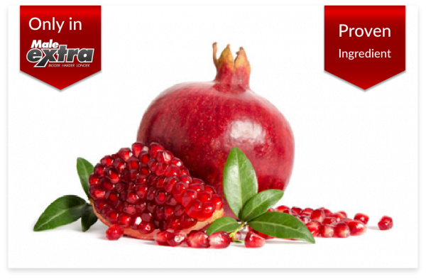 Pomegranate 40% Ellagic Acid 