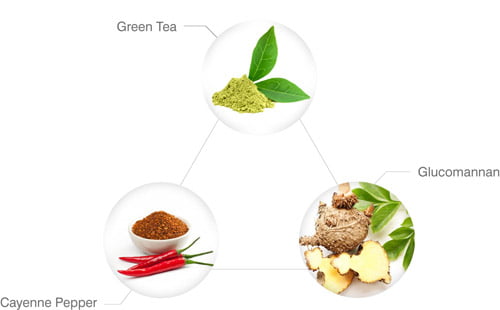Power of Ingredients Instant Knockout