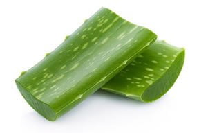 Aloe vera Featured