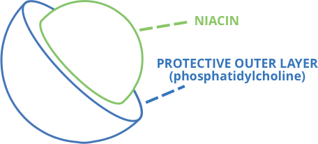  liposomal encapsulation technology