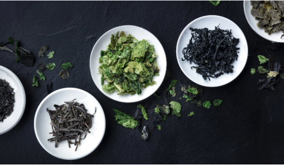 Fat Burning Ingredients and Foods