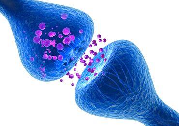 Improved Synaptic Transmission