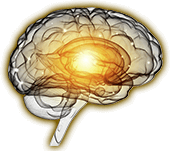Brain Energy