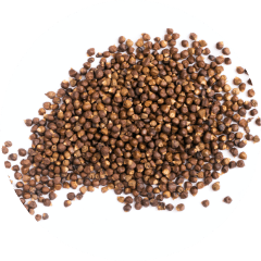 grains of paradise