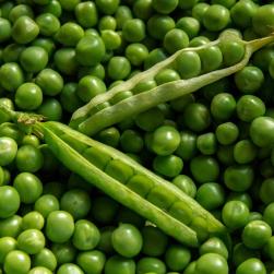 Pea Protein 12g Ingredients